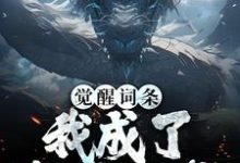 已完结小说《觉醒词条:我成了敖丙他爹》章节在线阅读-书格格