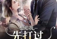免费在线阅读想追我,先打过我手下再说小说的正规网站有哪些?-书格格