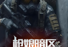 枪娘暗区：开局拜师尤文小说有没有完整的免费版本在线阅读？-书格格
