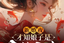 新婚夜，才知娘子是魔教圣女免费阅读，新婚夜，才知娘子是魔教圣女李清廉沈玉书-书格格