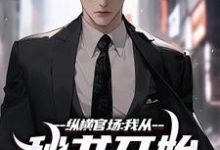 纵横官场：我从秘书开始强势崛起完整版小说，纵横官场：我从秘书开始强势崛起最新章节-书格格