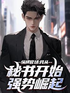 纵横官场：我从秘书开始强势崛起完整版小说，纵横官场：我从秘书开始强势崛起最新章节
