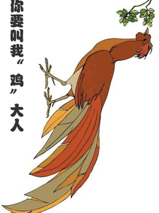 你要叫我鸡大人小说有没有完整的免费版本在线阅读？