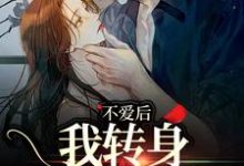 完结版《不爱后，我转身缠上霸总》章节目录在线阅读-书格格