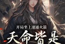 开局坐上速通火箭，天命皆是我臣子小说无弹窗阅读的网站推荐-书格格