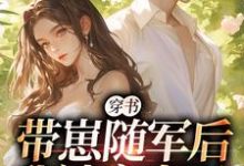 免费看穿书:带崽随军后我被宠上天小说的网站有哪些?-书格格