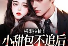 极限拉扯!小甜包不追后男神他慌了完整版小说,极限拉扯!小甜包不追后男神他慌了免费阅读-书格格