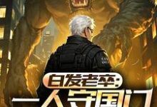 白发老卒：一人守国门弹指镇人间小说完结版章节免费阅读-书格格