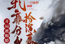 开局被赐婚，我靠分身扮演幕后苏越小说在线章节目录阅读最新章节-书格格