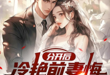 分开后，冷艳前妻悔哭求复合赵成小说完结版章节在线阅读-书格格