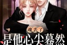 完结版《魂丢了,是他心尖蓦然颤动的声音》章节阅读-书格格