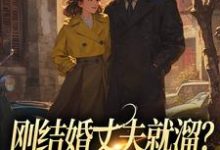 刚结婚丈夫就溜？姐真不吃人！丁遥香陆舰小说在线章节免费阅读-书格格