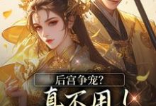 完整版的后宫争宠？真不用！我撒个娇的事小说在哪里可以免费读到？-书格格