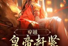 《穿越：皇帝赶紧给我打江山》小说章节列表免费试读，如意小说在线阅读-书格格