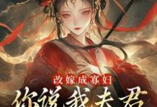 改嫁成寡妇,你说我夫君又复活了?小说,改嫁成寡妇,你说我夫君又复活了?在线阅读-书格格