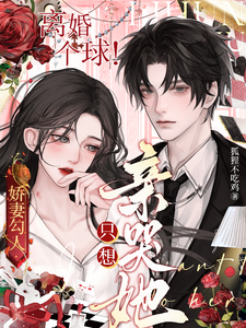 完结版《娇妻勾人：离婚个球！只想亲哭她》免费阅读