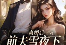 离婚后，前夫雪夜下跪求回头完整版小说，离婚后，前夫雪夜下跪求回头免费阅读-书格格