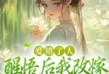 唐瑈嘉秦斯珩小说在线章节免费阅读（爱错了人，醒悟后我改嫁权王你哭啥无弹窗无删减）-书格格