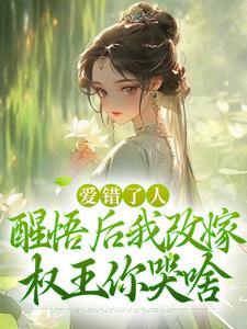 唐瑈嘉秦斯珩小说《爱错了人，醒悟后我改嫁权王你哭啥》在线阅读