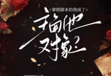 哪里能找到拿错剧本的我成了主角他对象？小说的全部章节？-书格格