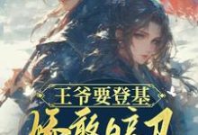 《王爷要登基，娇憨暗卫镇守八方》完整版小说免费阅读-书格格