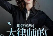 《追爱蜜恋：大律师的惹火宝贝》宋知薇秦律小说免费阅读完整版-书格格