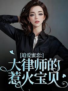 《追爱蜜恋：大律师的惹火宝贝》宋知薇秦律小说免费阅读完整版