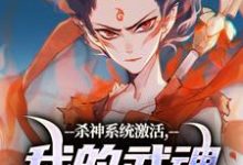 《杀神系统激活，我的武魂是哪吒》全集免费在线阅读（李云霄）-书格格