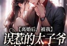 离婚后，被我误惹的太子爷接我回家云浅萧南夜小说在线章节免费阅读-书格格