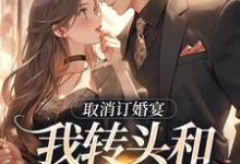 免费看取消订婚宴，我转头和别人领证小说的网站有哪些？-书格格