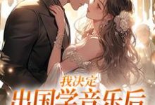 《我决定出国学音乐后,大律师后悔了》小说大结局免费试读 宋棉贺淮川小说-书格格