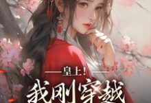 皇上！我刚穿越，真不想玩宫斗小说全文阅读需要付费吗？寻找免费资源-书格格