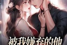 白夕颜小说免费阅读完整版-书格格