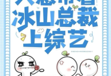 沈青顾慎完整版《重生之后只想带着冰山总裁上综艺》小说免费阅读-书格格