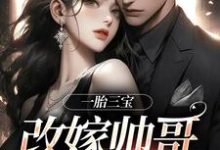 已完结小说《一胎三宝,改嫁帅哥就是宠!》章节在线阅读-书格格