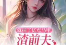 《就掉了亿点马甲,渣前夫哭着求复婚》小说叶幻竹章节章节免费在线阅读-书格格