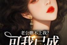 小说《老公瞧不上我?可我已成科技大佬!》章节免费阅读-书格格