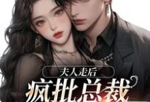 夫人走后，疯批总裁寻遍全世界免费阅读，夫人走后，疯批总裁寻遍全世界章节目录-书格格