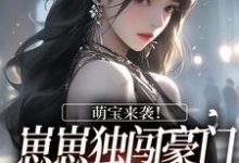完结版《萌宝来袭！崽崽独闯豪门为全家抓鬼》章节阅读-书格格