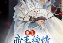 重生:帝王缠情,骄宠公子无边沈白景容华小说完结版章节在线阅读-书格格