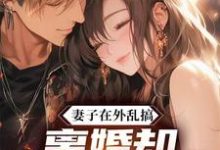 《妻子在外乱搞，离婚却后悔到崩溃》庄毅小说免费阅读完整版-书格格