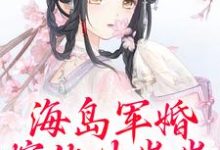 免费看海岛军婚：嫁他生崽崽小说的网站有哪些？-书格格
