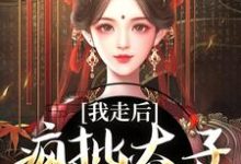 沈南枝萧迟小说我走后，疯批太子彻底癫了在线阅读章节-书格格