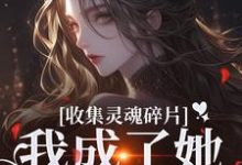 完整版《收集灵魂碎片，我成了她的心尖宠》小说免费阅读-书格格