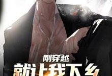 《刚穿越就让我下乡,这该如何是好》全集免费在线阅读(顾云涛)-书格格