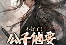求不好了！公子他要挑战皇权小说的全文免费阅读链接-书格格
