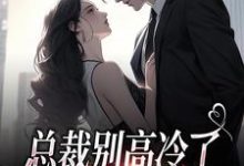 总裁别高冷了,夫人离家出走了林乔谢之南小说在线章节免费阅读-书格格