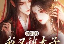 完结版《刚出逃，我又被太子绑回来了》章节目录在线阅读-书格格