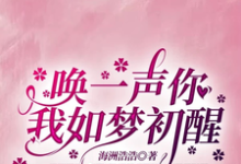 已完结小说《唤一声你我如梦初醒》最新章节-书格格