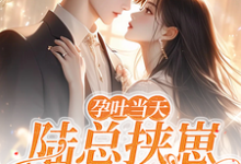 孕吐当天，陆总挟崽逼我结婚棠微陆瑾时，孕吐当天，陆总挟崽逼我结婚章节在线阅读-书格格